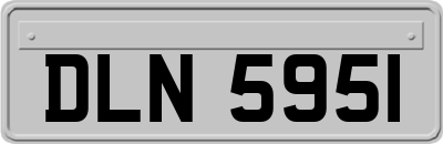DLN5951
