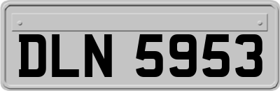 DLN5953