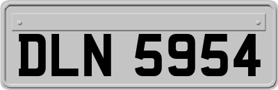 DLN5954