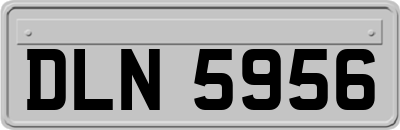 DLN5956