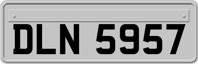 DLN5957