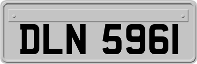 DLN5961