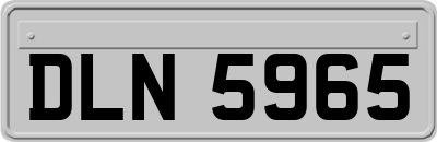 DLN5965