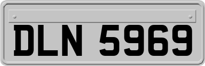 DLN5969