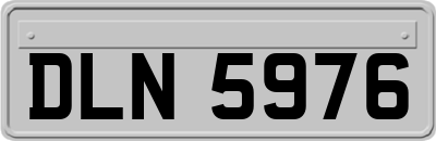 DLN5976
