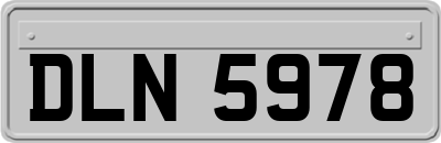 DLN5978