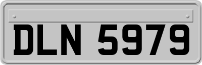 DLN5979