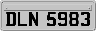 DLN5983