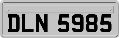 DLN5985
