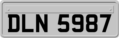 DLN5987