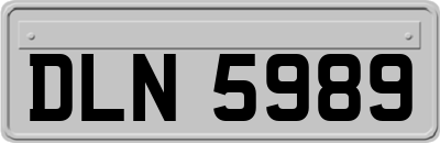 DLN5989