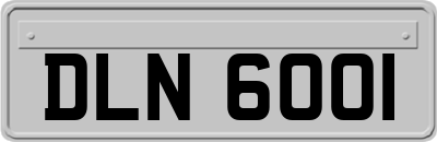 DLN6001