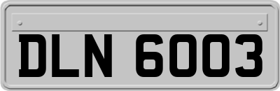 DLN6003