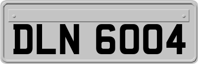 DLN6004