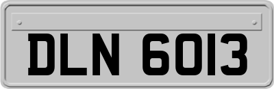 DLN6013