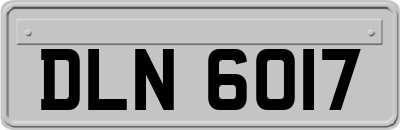 DLN6017
