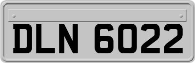 DLN6022