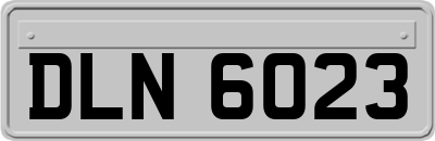DLN6023