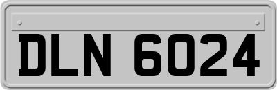 DLN6024