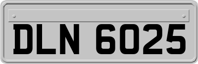 DLN6025