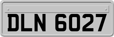 DLN6027