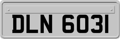 DLN6031