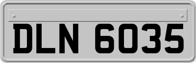 DLN6035