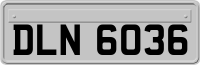 DLN6036