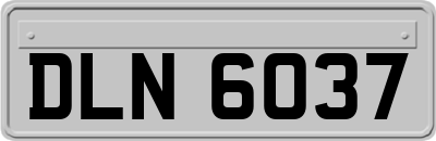 DLN6037