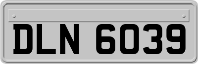 DLN6039