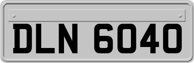 DLN6040