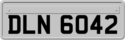 DLN6042