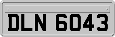 DLN6043