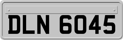 DLN6045