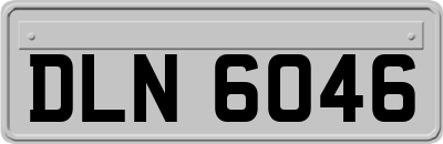 DLN6046