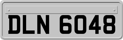DLN6048