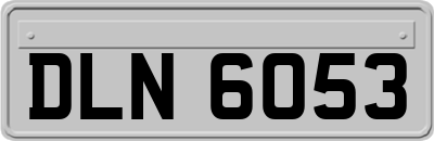 DLN6053