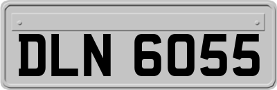DLN6055
