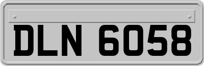 DLN6058