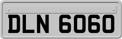 DLN6060