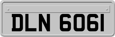 DLN6061