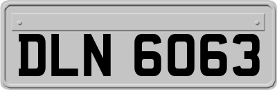 DLN6063