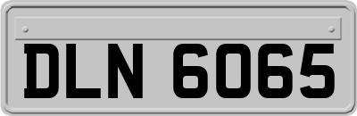 DLN6065