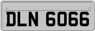 DLN6066