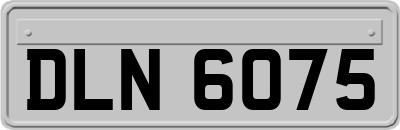 DLN6075