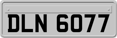 DLN6077