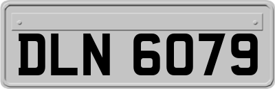DLN6079