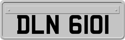 DLN6101