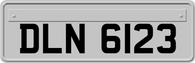 DLN6123