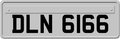 DLN6166